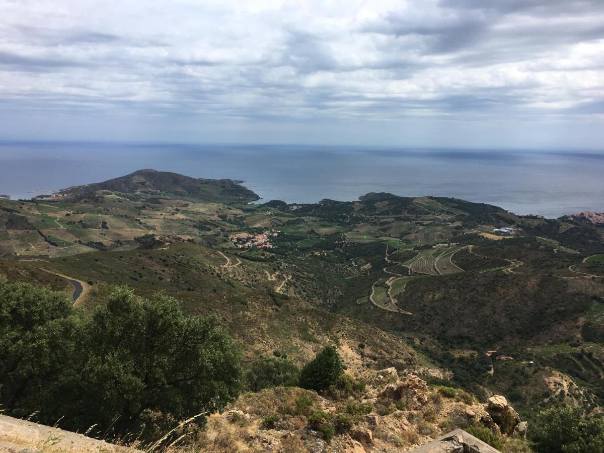 Vue Mer Panoramique Exceptionnelle L T2 Mezzanine Luxueux Banyuls-sur-Mer Esterno foto