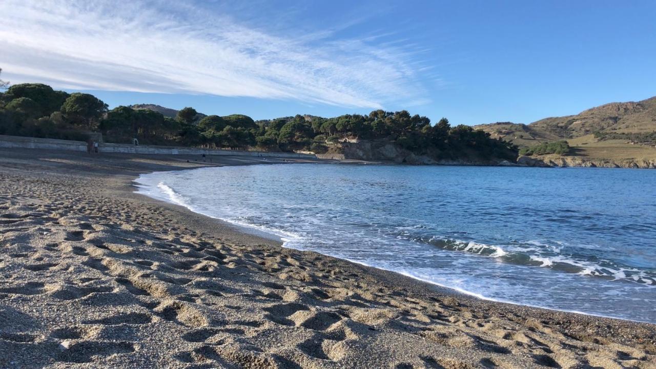 Vue Mer Panoramique Exceptionnelle L T2 Mezzanine Luxueux Banyuls-sur-Mer Esterno foto