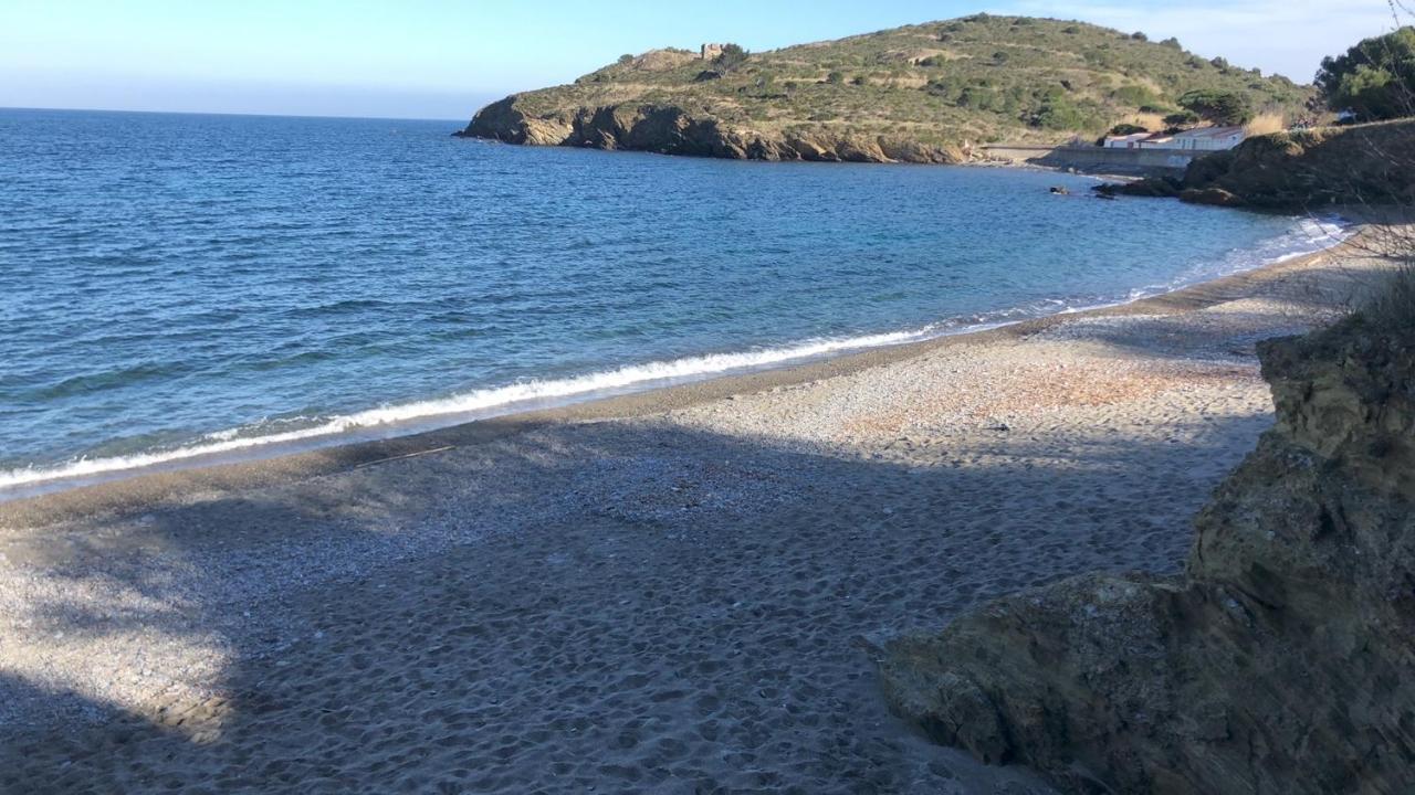 Vue Mer Panoramique Exceptionnelle L T2 Mezzanine Luxueux Banyuls-sur-Mer Esterno foto