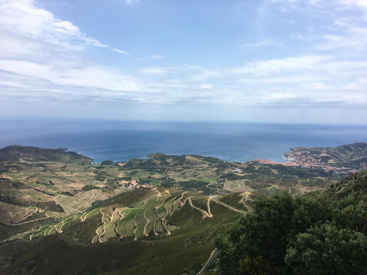 Vue Mer Panoramique Exceptionnelle L T2 Mezzanine Luxueux Banyuls-sur-Mer Esterno foto
